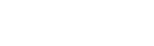 nz companies