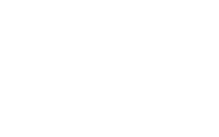 mint logo